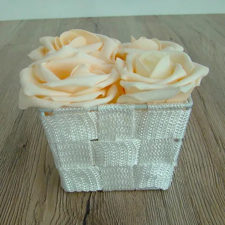 Potsdamer Platz & アパート *