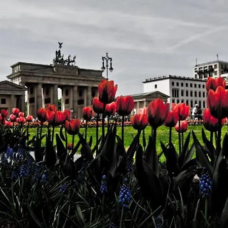 Apartment Potsdamer Platz & *
